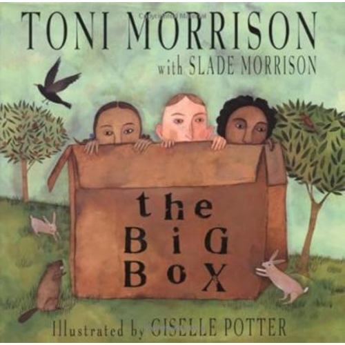 The Big Box used book by Toni Morrison: 9780786804160