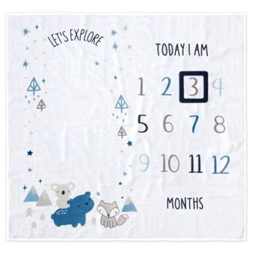 Gerber® Explore Milestone Animals Cotton Muslin Blanket and Felt Frame in Blue - BLUE - 47" X 47"