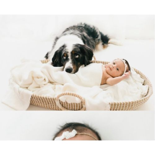 Newborn Photography Fund