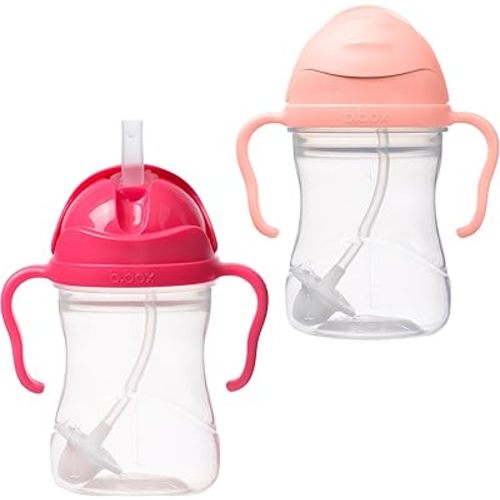 b.Box Sippy Cup with Weighted Straw for 6 Month Plus Babies to Toddlers, Raspberry/Tutti Frutti, 240 ml Capacity (Pack of 2)