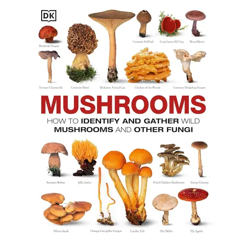 Mushrooms: How to Identify and Gather Wild Mushrooms and Other Fungi