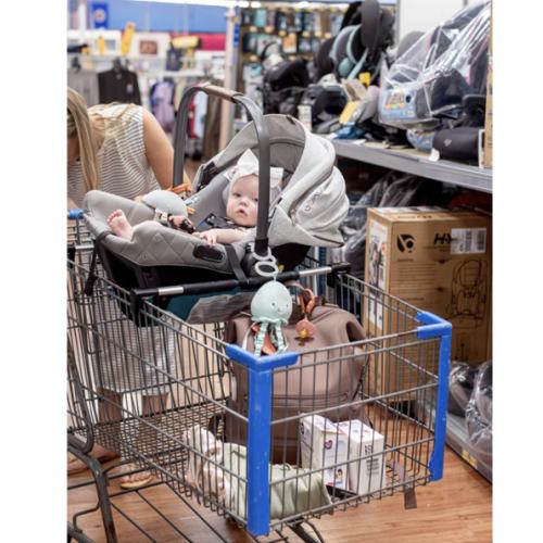 Totes Babies Car Seat Carrier