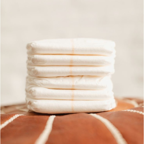 Diaper Fund