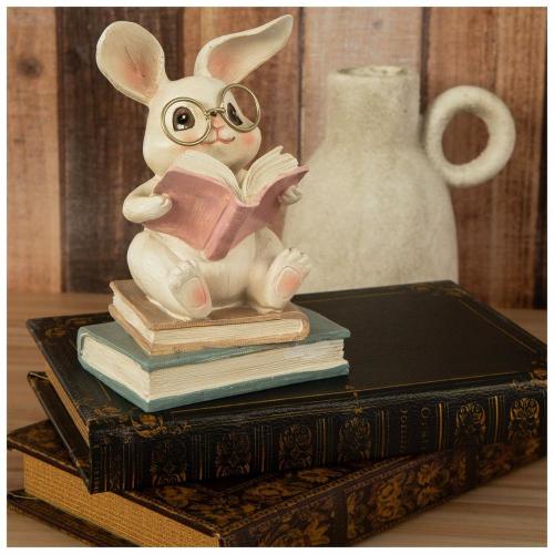 Rabbit Sitting On Books