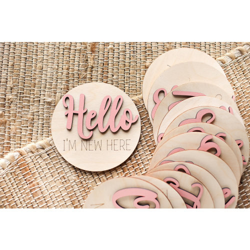 Milestone Discs for Baby Photos Monthly Milestone Marker Monthly Signs for Baby 3D Letter Milestone Cards Baby Shower Gift Wooden Hello