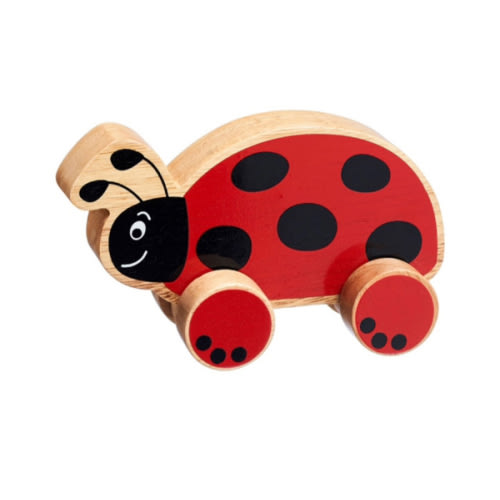 Wooden Toy Ladybird Push Along | Fair Trade