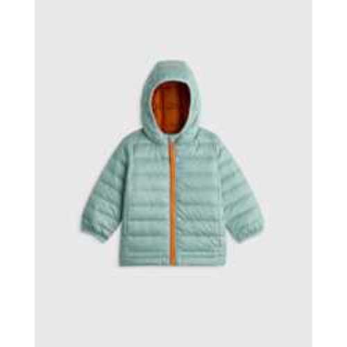 Lightweight Down Hooded Puffer Jacket - Baby in Blue Moon