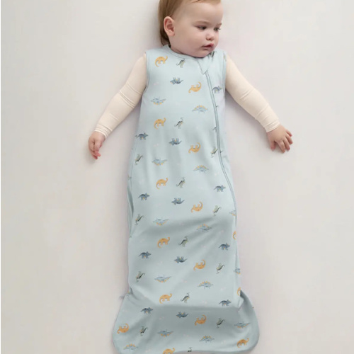 Bamboo Sleep Bag 1.0 TOG in Baby Blue Little Dino