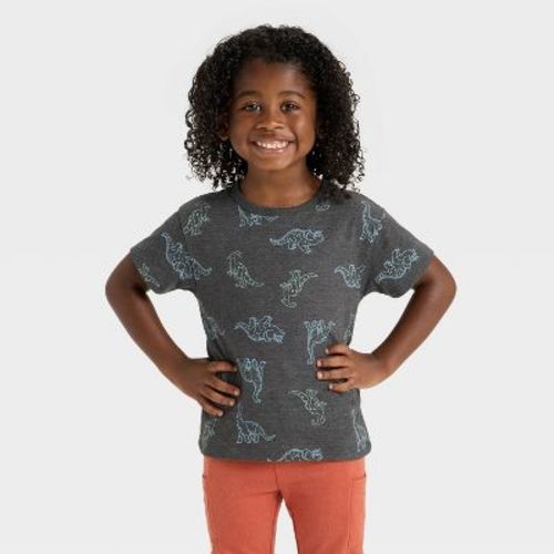 Toddler Boys' Short Sleeve Relaxed T-Shirt - Cat & Jack™ Charcoal 2T