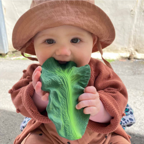 KENDALL THE KALE TEETHER - THE TOY STORE