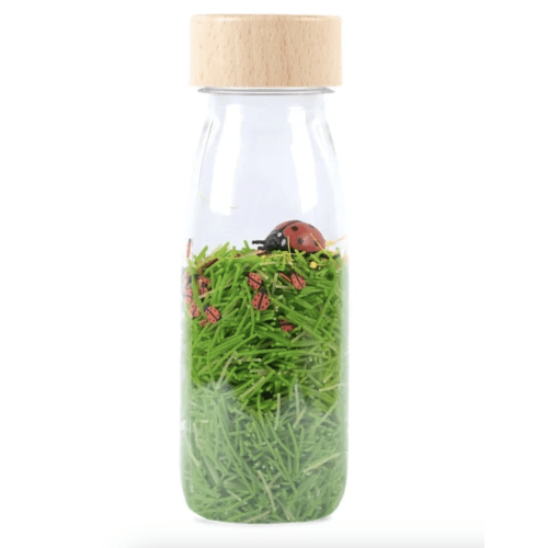Cocinelles sensory bottle