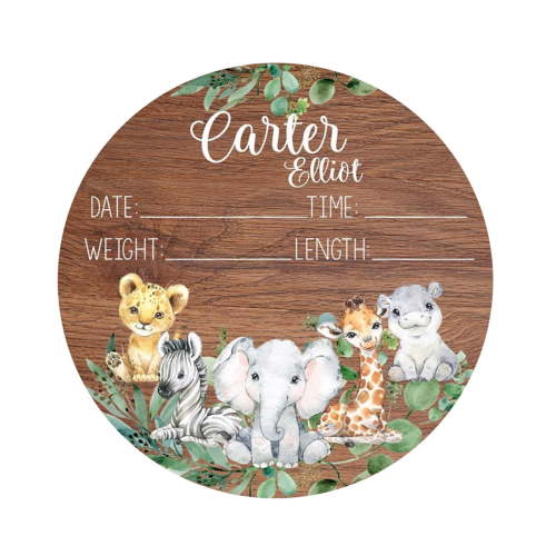 Farfi Birth Announcement Plaque Engraved Ornamental Cute Baby Name Reveal Sign Keepsake for Photo Props (Type D)