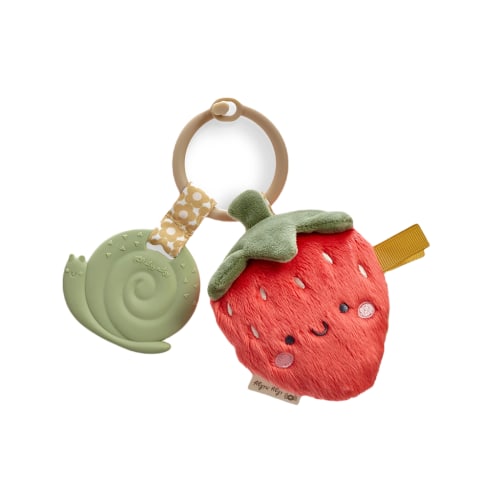 Itzy Pal Plush And Teether