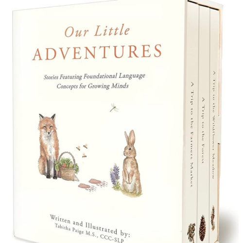Our Little Adventures: Stories