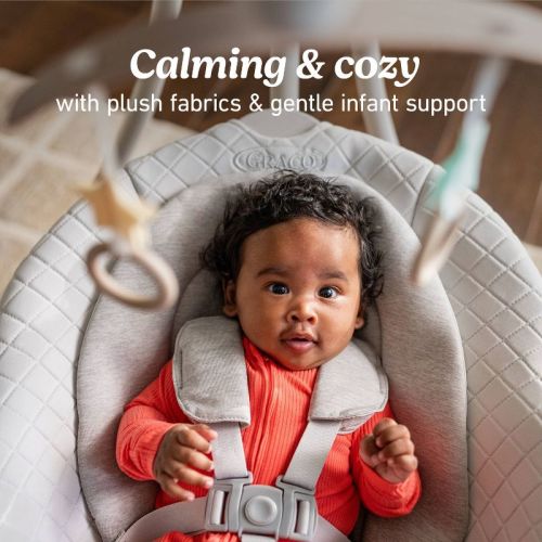 Graco DuetConnect LX Baby Swing - Wales