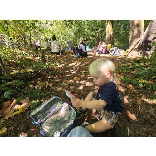 Forest Camp Tuition