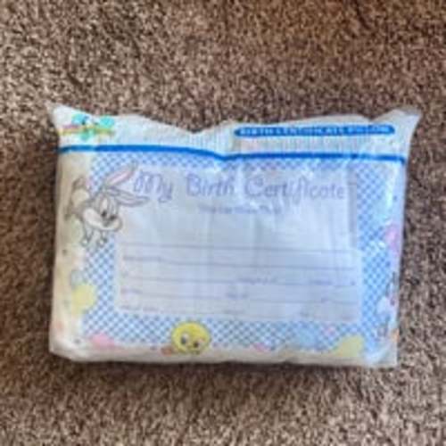 VTG 2000 Looney Tunes My Birth Certificate Pillow