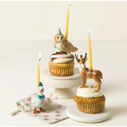 Party Animal Cake Topper & Candle Holders – Camp Hollow