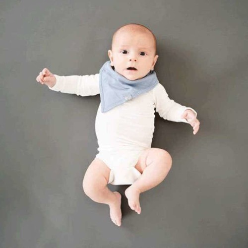 Kyte Baby Bib