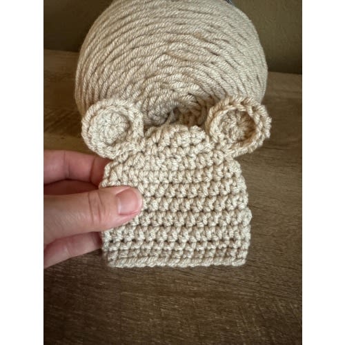 Baby Bear Hats | Baby Girl Bear Beanie | Bear Hat with Ears | Crochet Bear Hat | Preemie Bear Hats | Newborn Photo Prop | Baby Boy Beanie