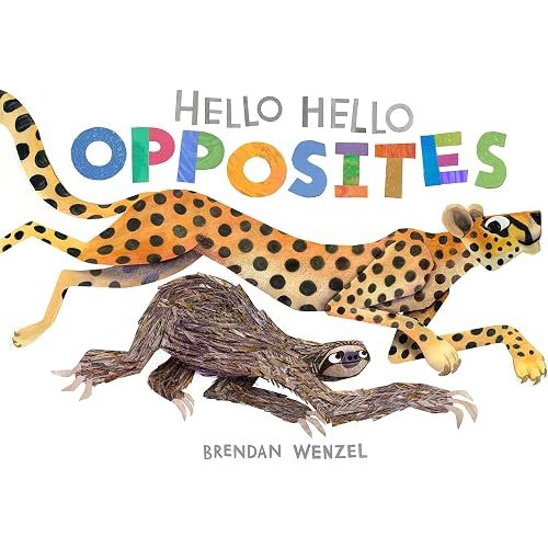 Hello Hello Opposites (Brendan Wenzel)