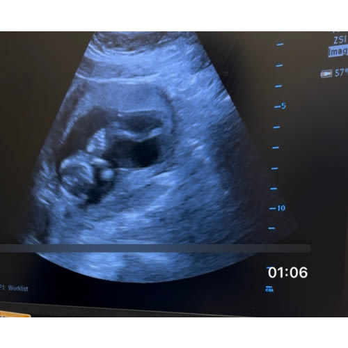 Babylist Shop Gift Card