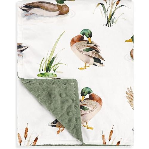 Green Baby Blanket for Boys Girls, Mallard Duck Minky Toddler Blanket
