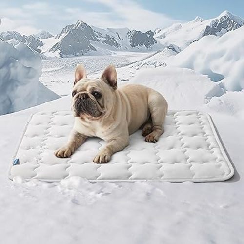 Bedsure Cooling Mat for Medium Dogs – 29x21 Thin Washable Cooling Pet Pad for Cat, QMAX>0.5, Portable Kennel Puppy Bed for Summer, Non-Slip Summer Crate Pad for Dog Up to 25 lbs