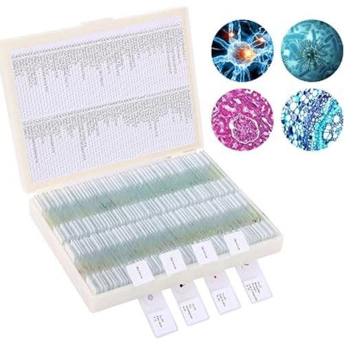120 Microscope Slides with Specimens, Plant, Insect, Animal, Algae Slide Set for Biological Science Laboratory Basic Biological Science Education