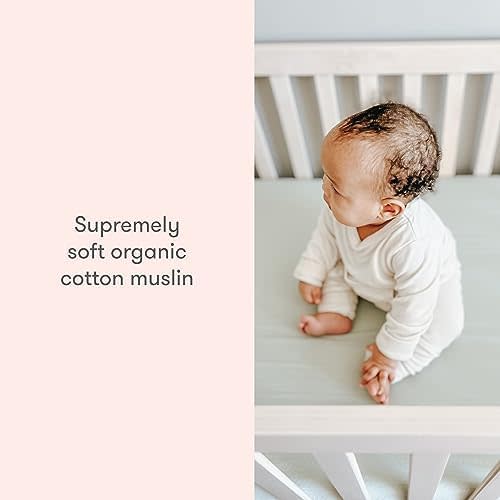 Newton Baby Fitted Crib Sheet (2-Pack) - Ultra Breathable and Soft, Organic Cotton, Fits All Standard Cribs, Plain White