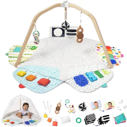 Lovevery, The Play Gym, 5-Stage Baby Developmental for Full Year of Play