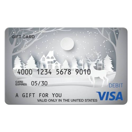 Visa Holiday $50 + $5 Fee Gift Card