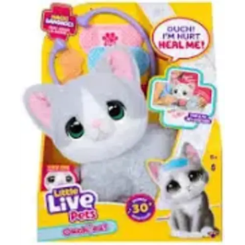 cat thats alive play animal - Google Search