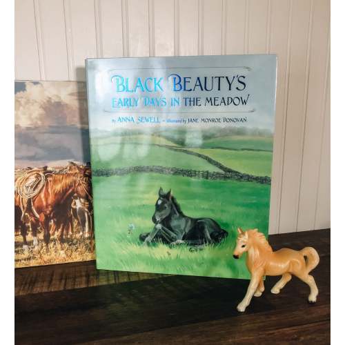 Black Beauty's Early Days In the Meadow Picture Book (Hardcover)