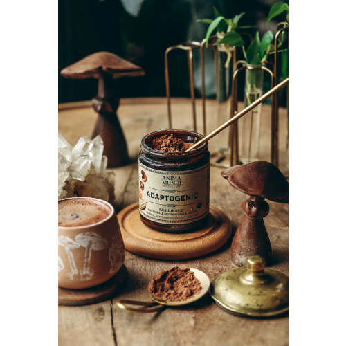 New Mama | BUNDLE – Anima Mundi Herbals