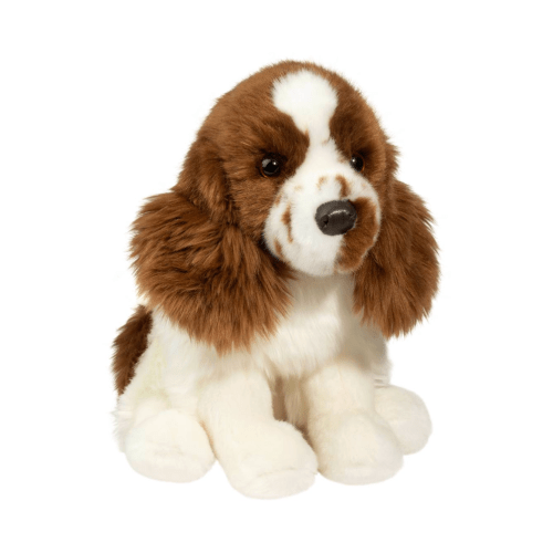 Chip Springer Spaniel