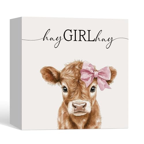 Highland Cow Gift Wood Box Signs, Hay Girl Hay Coquette Pink Bow Highland Cow Wooden Sign Decorations for Girls Room Nursery Desk Table Shelf Tabletop, 5x5 Inches
