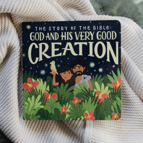 The Story of the Bible: Book 1 | TDGC – The Daily Grace Co.