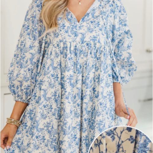 NURSING COLLECTION: It's All True Blue Toile Dress