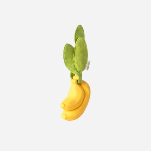 Ana Banana Pacifier Case