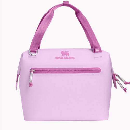 The All Day Julienne Mini Cooler – Stanley 1913