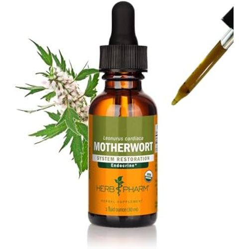 Herb Pharm Certified Organic Motherwort Liquid Extract Drops for Endocrine System Support, 1 Oz