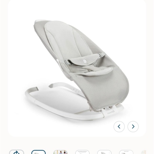 Electric Bouncer & Rocker