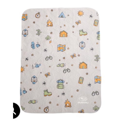 Quilted Baby Blanket