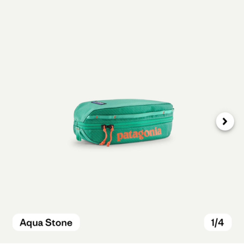 Patagonia Black Hole® Packing Cube 3L
