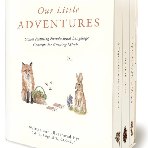 Our Little Adventures: Stories Featuring Foundational Language Concepts for Growing Minds (Tabitha Paige Children's Book Series)