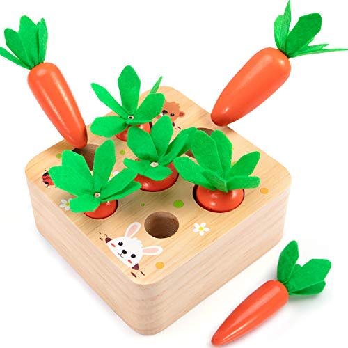AOJOYS Montessori Toys for Toddlers 1-3 Years Old, Developmental Wooden Toys Carrot Shape Size Sorting Game, Preschool Learning Fine Motor Skill for Baby Boys Girls