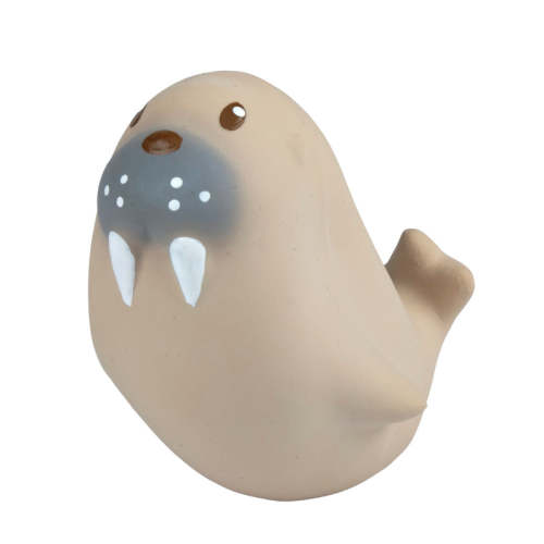 Arctic Sea Lion Rubber Bath Toy