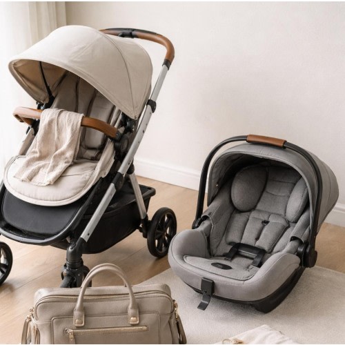 Travel System Fund (Stroller & Car Seat)
