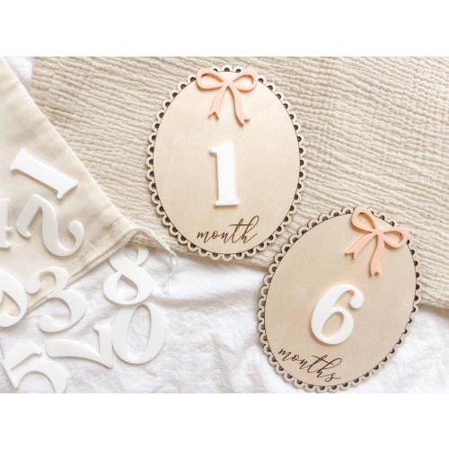 Interchangeable Baby Monthly Milestone Cards, Monthly Photo Prop Set, Wooden Photo Props, 1 to 12 Months, Baby Shower Gift